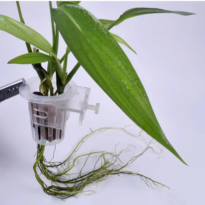 Aquarium Planting Basket Hydro - Aquarium Fish Pot 评论和价格