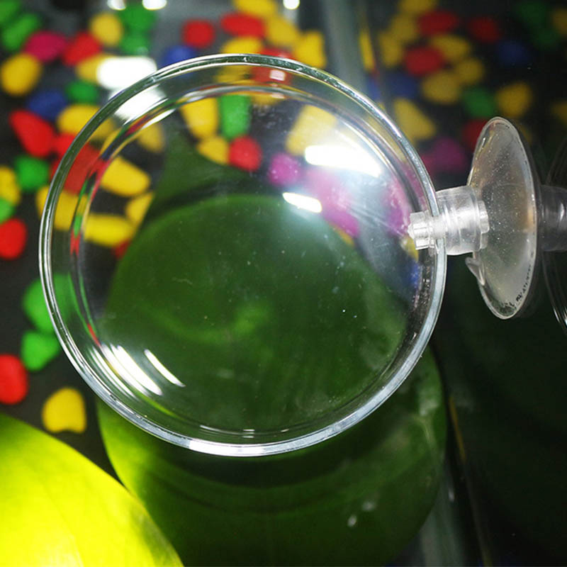 Transparent Acrylic Transparen - Aquarium Fish Holiday Food 评论和价格
